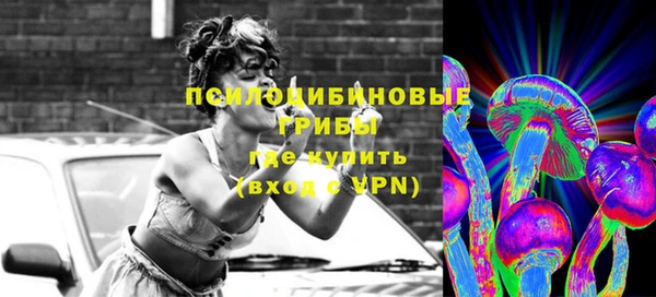 гидра Протвино