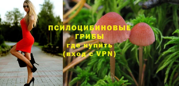 mdpv Арсеньев